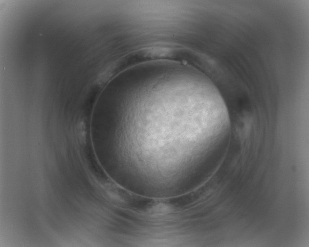 X0000062890551200601131337