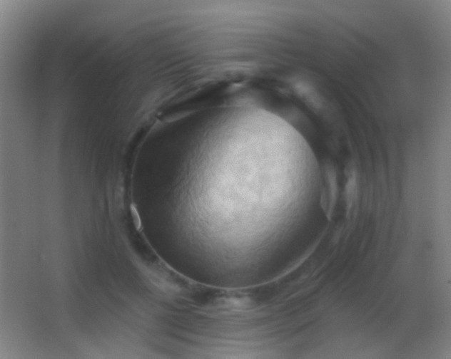 X0000062890552200601131337