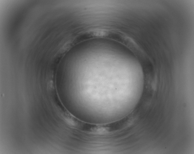 X0000062890553200601131337