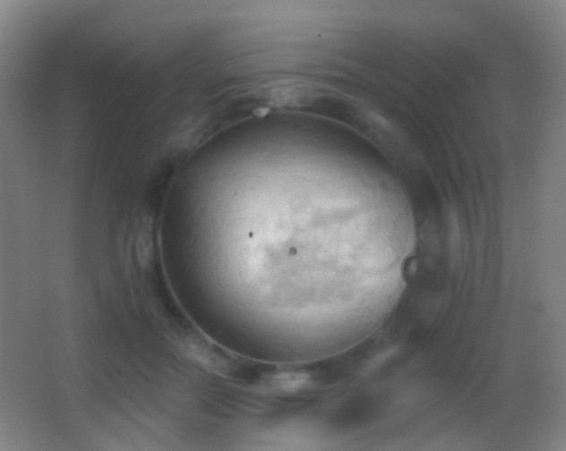 X0000062890554200601131337