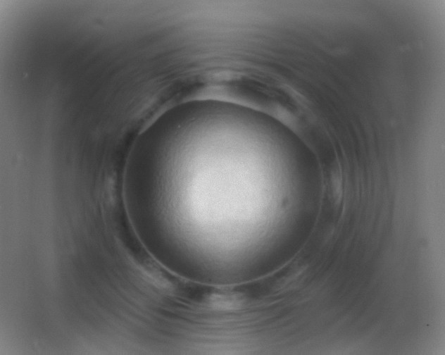 X0000062890556200601131337