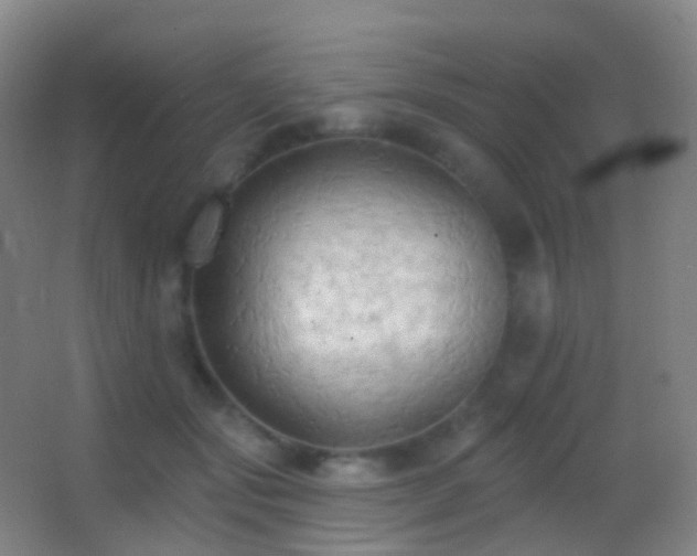 X0000062890557200601131337