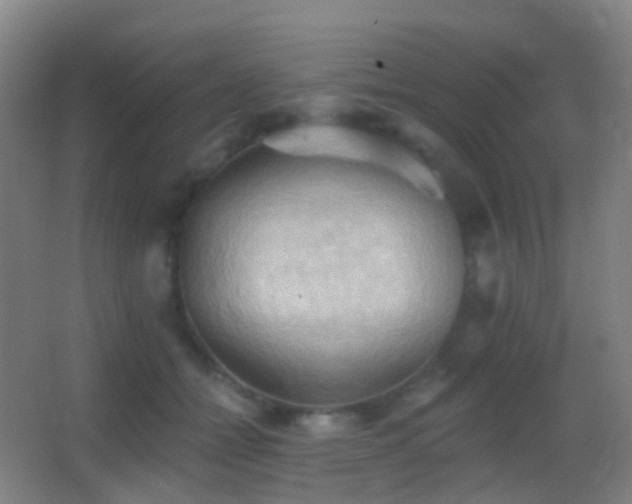 X0000062890558200601131337