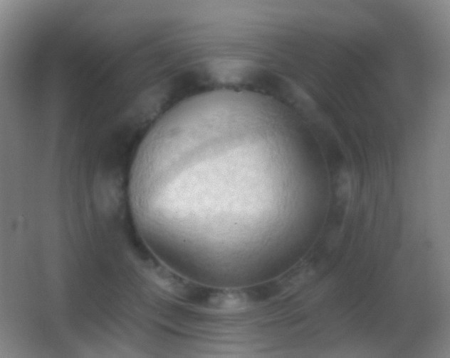 X0000062890559200601131337