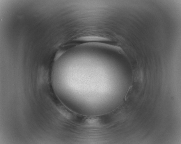 X0000062890560200601131337