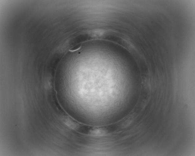 X0000062890561200601131337