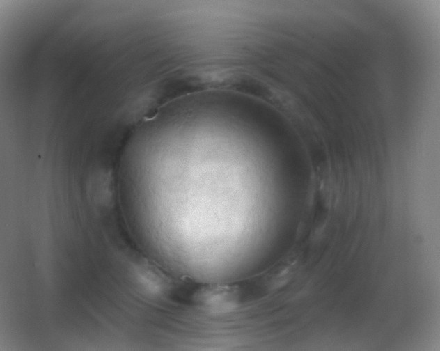 X0000062890563200601131337