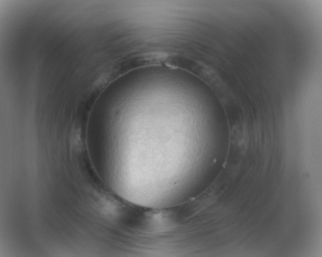 X0000062890564200601131337