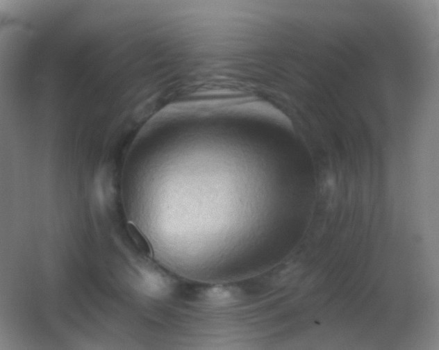 X0000062890566200601131337