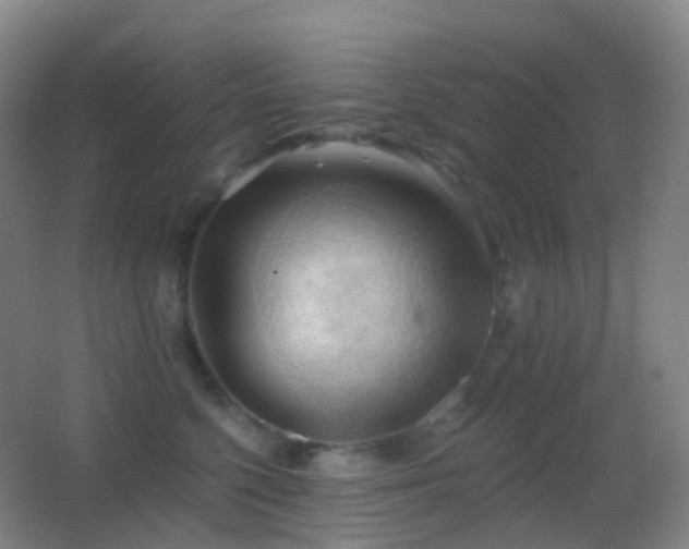 X0000062890568200601131337