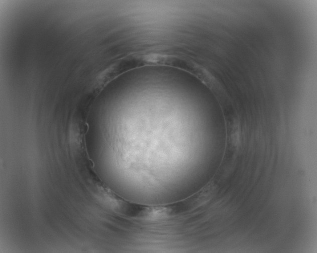 X0000062890569200601131337