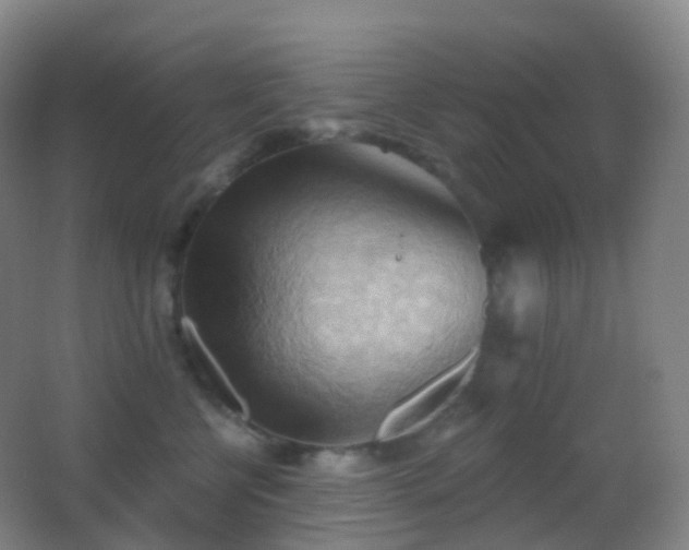 X0000062890570200601131337