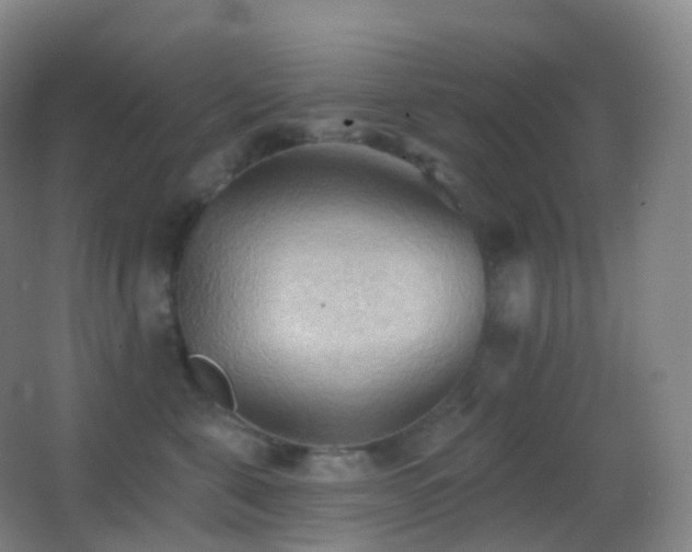 X0000062890571200601131337