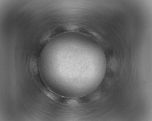 X0000062890572200601131337