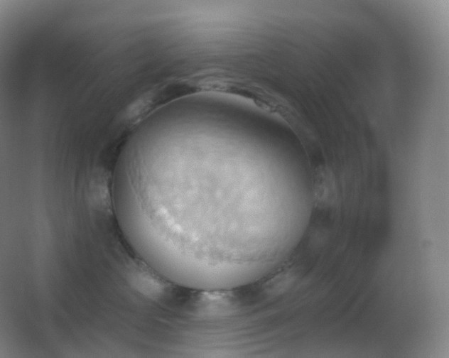 X0000062890573200601131337