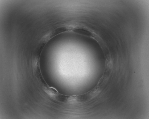 X0000062890574200601131337