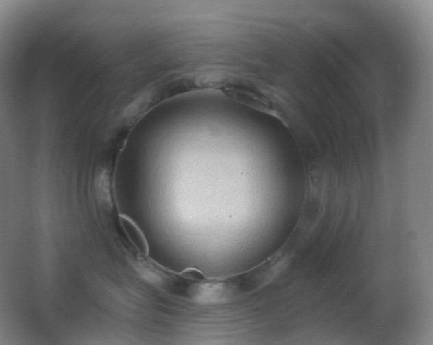 X0000062890575200601131337