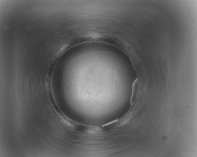 X0000062890576200601131337