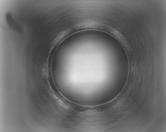 X0000062890578200601131337