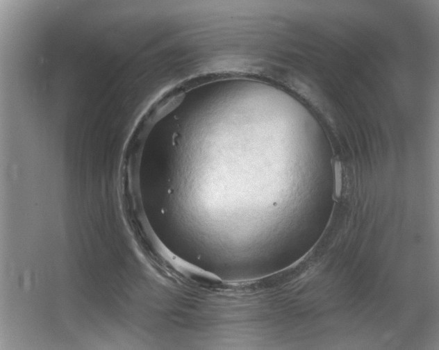 X0000062890580200601131337