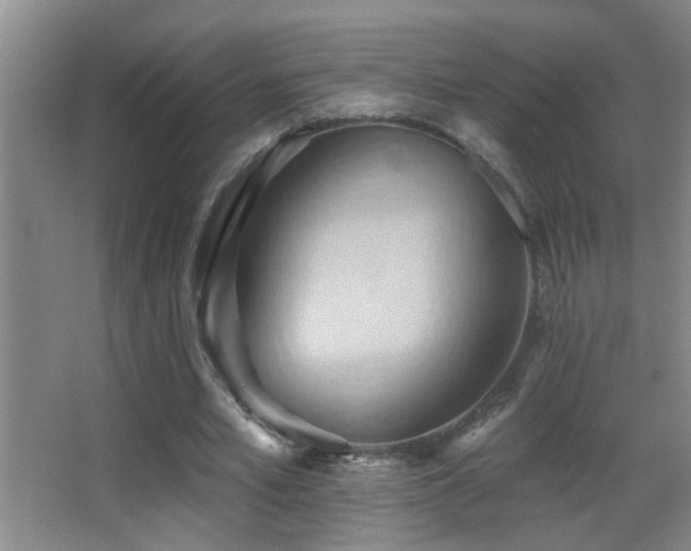 X0000062890581200601131337