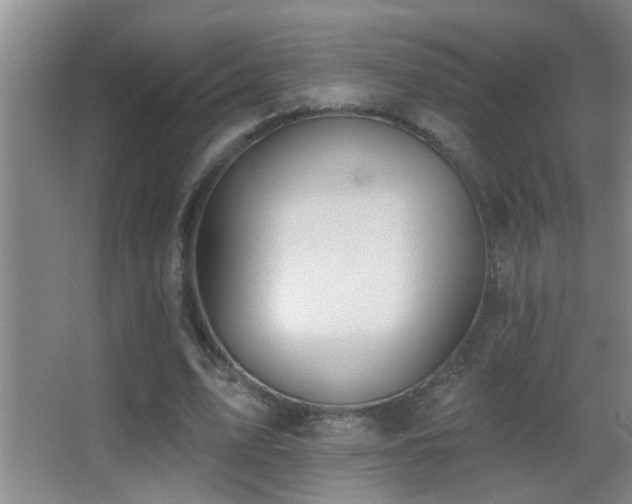 X0000062890583200601131337