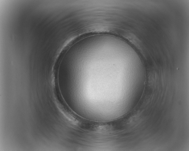 X0000062890584200601131337