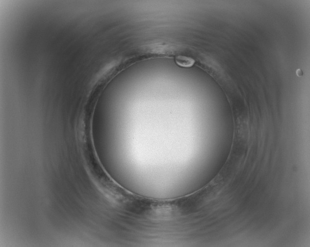 X0000062890587200601131336