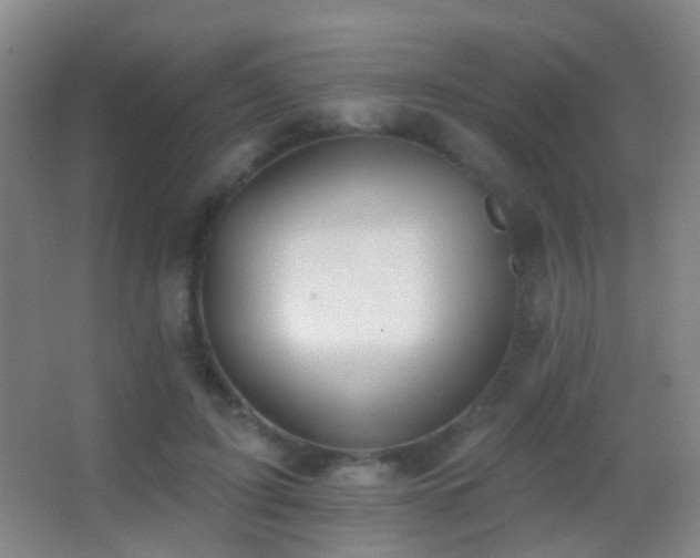 X0000062890595200601131336