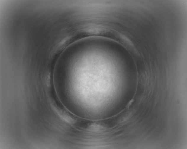 X0000062890596200601131336