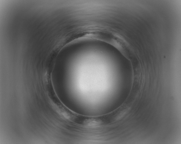 X0000062890597200601131336