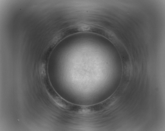 X0000062890598200601131336