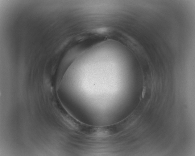 X0000062890601200601131336