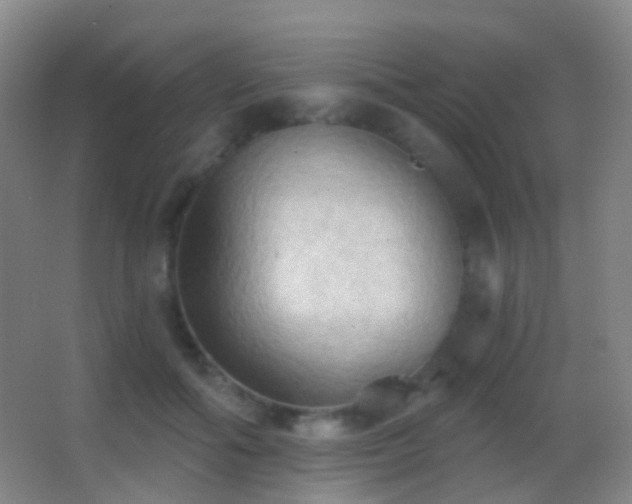 X0000062890602200601131336