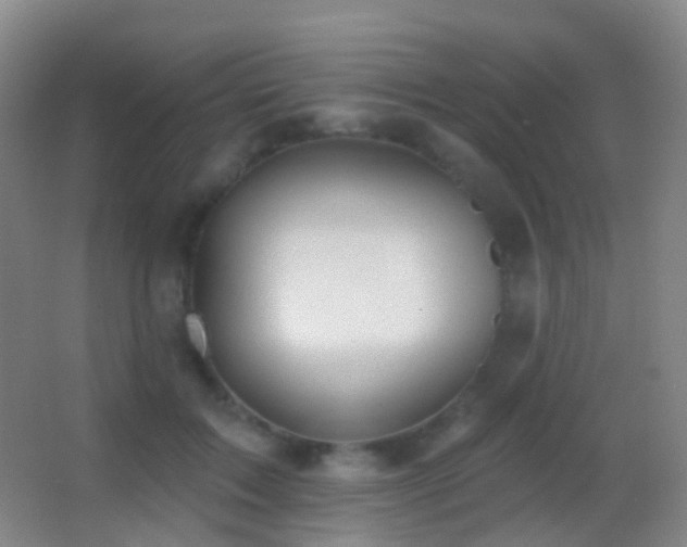 X0000062890603200601131336