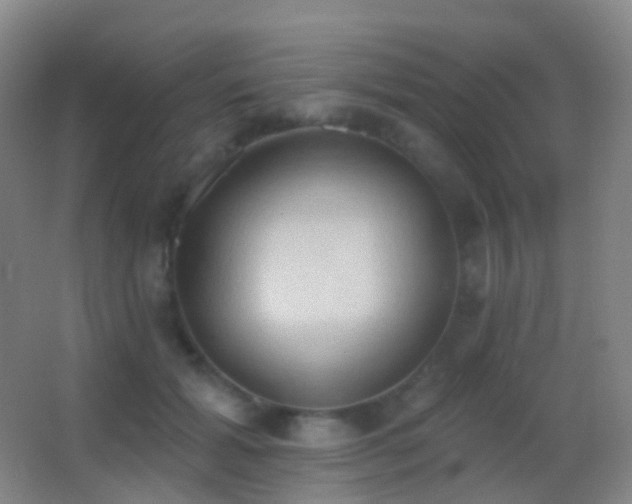 X0000062890605200601131336