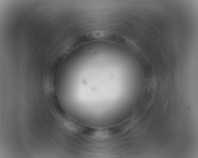 X0000062890606200601131336