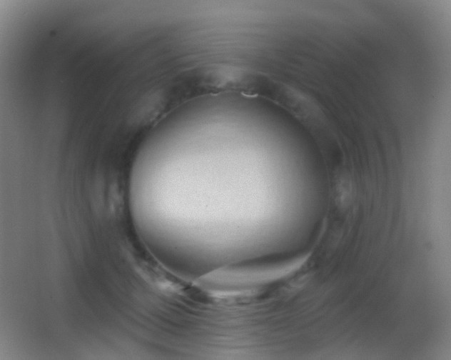 X0000062890607200601131336