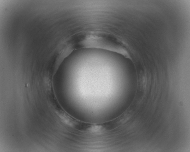 X0000062890609200601131336