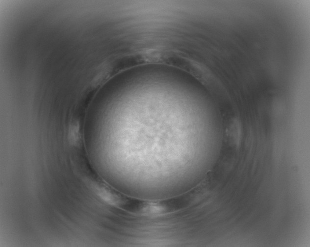 X0000062890610200601131336