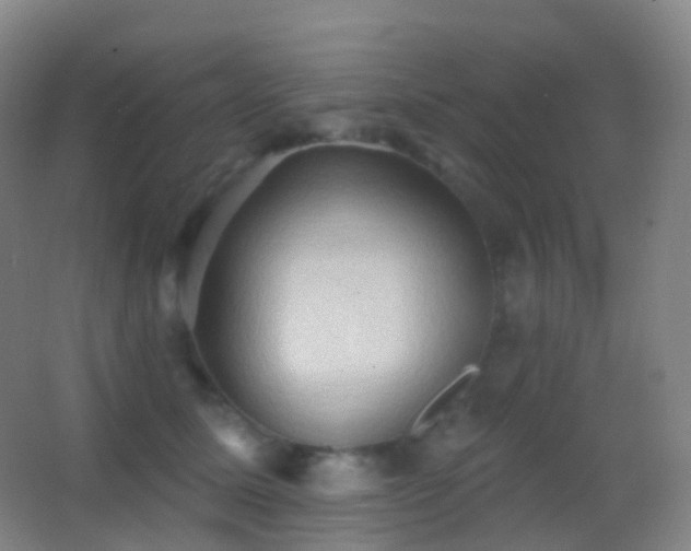 X0000062890611200601131336