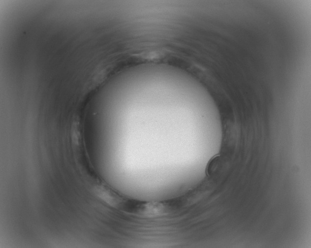 X0000062890612200601131336