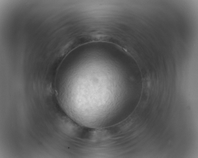 X0000062890615200601131336