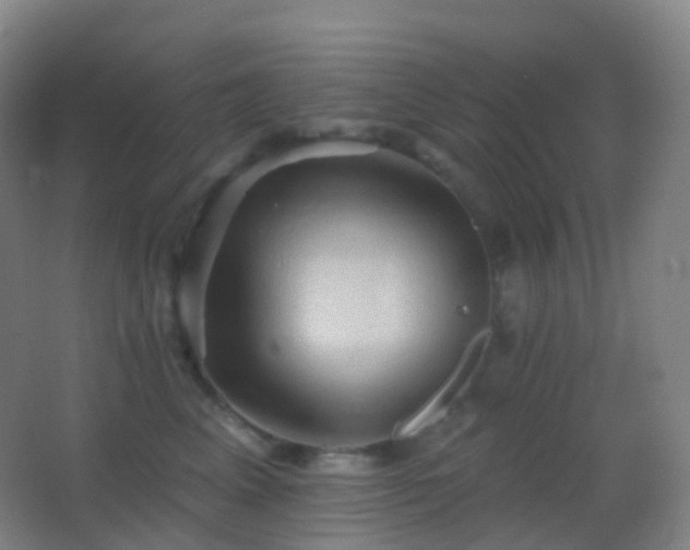 X0000062890617200601131336