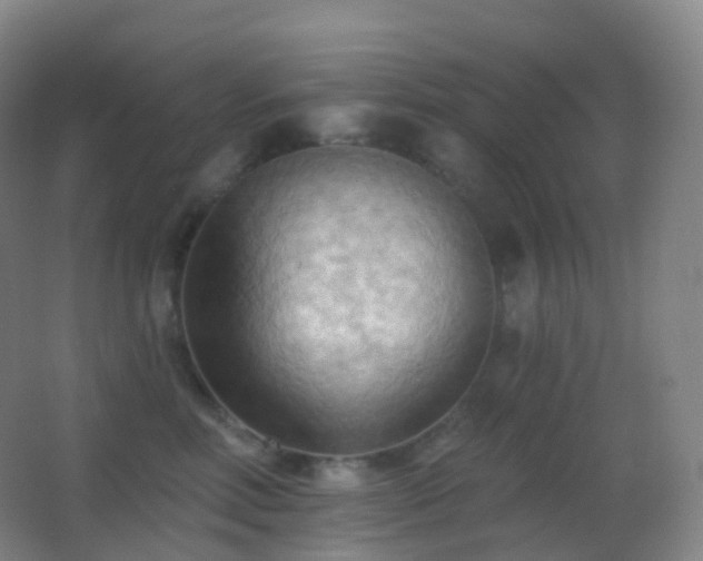 X0000062890618200601131336