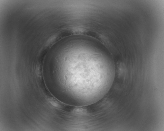 X0000062890619200601131336