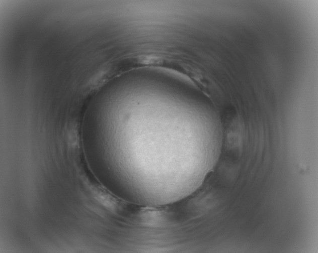 X0000062890620200601131336