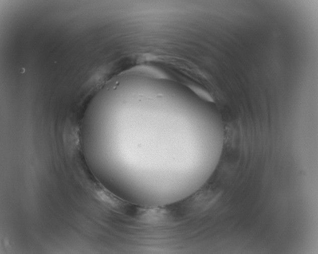 X0000062890621200601131336