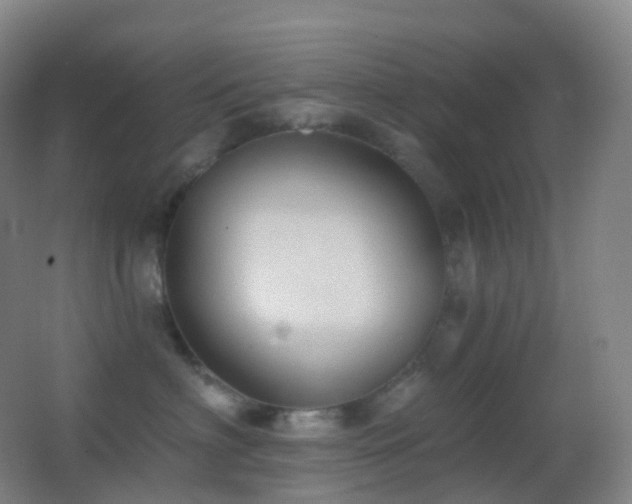 X0000062890622200601131336