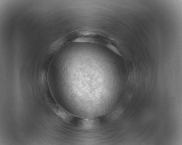 X0000062890623200601131336